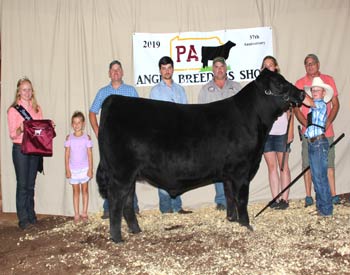 Grand Champion Bred-and-owned Steer