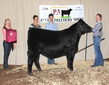 Reserve Grand Champion Bred-and-owned Steer
