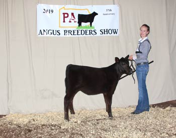 Bred-and-owned Reserve Junior Heifer Calf Champion