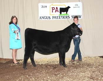 Owned Reserve Senior Heifer Calf Champion