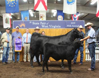 Grand Champion Cow-calf Pair