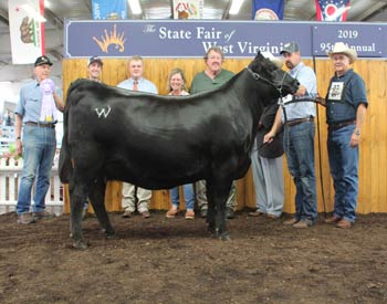 Reserve Senior Champion Female