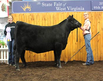 Reserve Junior Champion Heifer