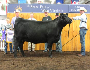Reserve Grand Champion Female