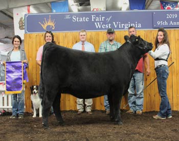 Grand Champion Female