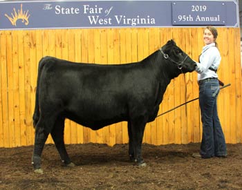 Reserve Intermediate Champion Heifer