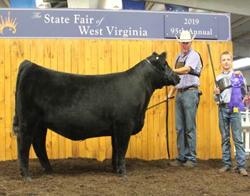 Intermediate Champion Heifer