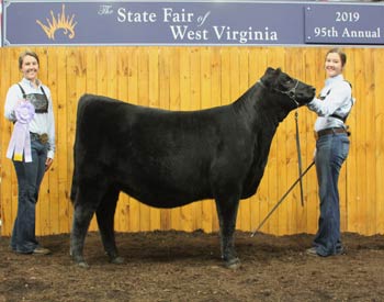 Reserve Senior Heifer Calf Champion