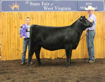 Senior Heifer Calf Champion
