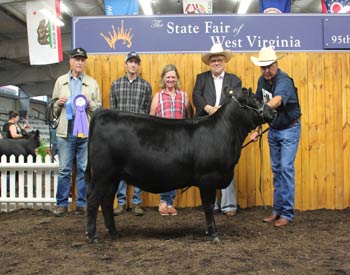 Junior Heifer Calf Champion