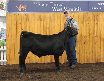 Reserve Junior Bull Calf Champion