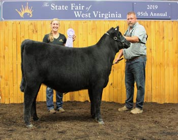 Reserve Junior Heifer Calf Champion