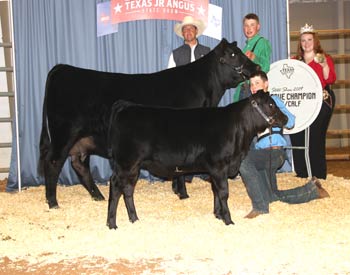 Reserve Grand Champion Cow-calf Pair