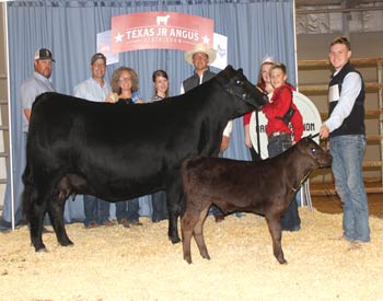 Grand Champion Cow-calf Pair