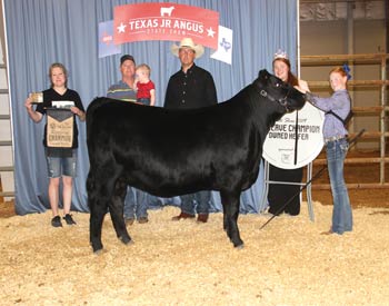 Reserve Grand Champion Owned Female