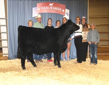 Owned Senior Champion Female