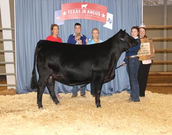 Owned Reserve Senior Champion Female