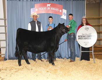 Reserve Grand Champion Bred-and-owned Female