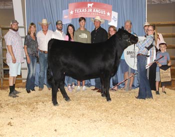 Grand Champion Owned Female