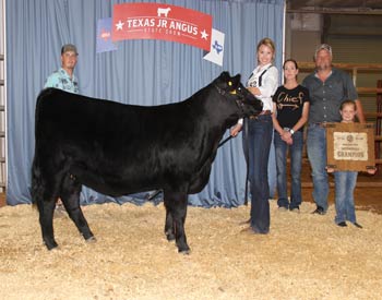 Owned Intermediate Champion Heifer