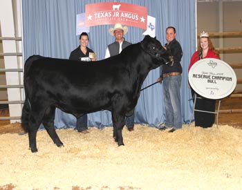 Reserve Grand Champion Bred-and-owned Bull