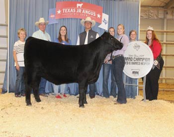 Grand Champion Bred-and-owned Female