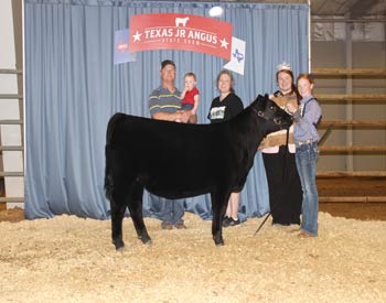 Owned Reserve Heifer Calf Champion
