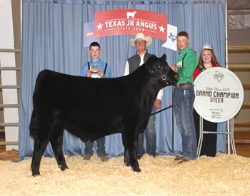 Grand Champion Steer