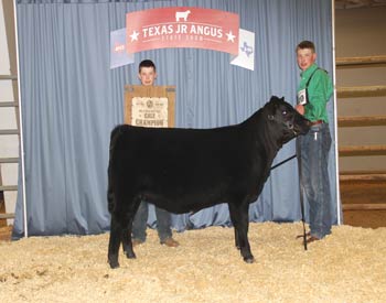Bred-and-owned Heifer Calf Champion