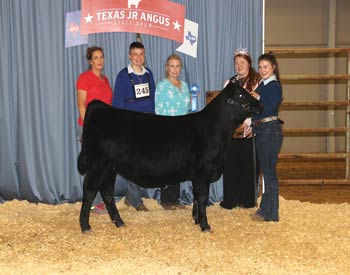 Owned Heifer Calf Champion