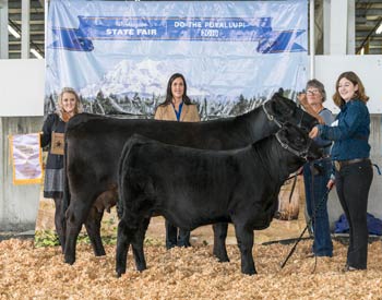 Reserve Grand Champion Cow-calf Pair