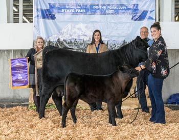 Grand Champion Cow-calf Pair