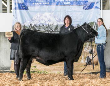 Reserve Junior Champion Heifer