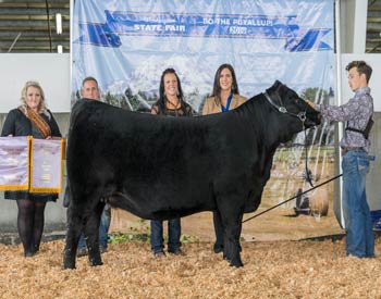 Reserve Grand Champion Female