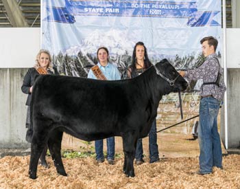 Reserve Senior Heifer Calf Champion