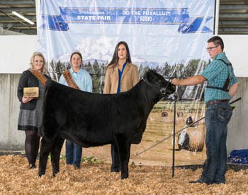 Reserve Junior Heifer Calf Champion