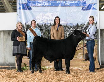 Reserve Junior Bull Calf Champion