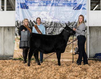 Junior Heifer Calf Champion
