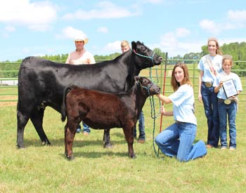 Reserve Grand Champion Cow-calf Pair