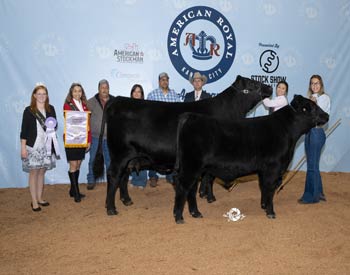 Reserve Grand Champion Cow-calf Pair