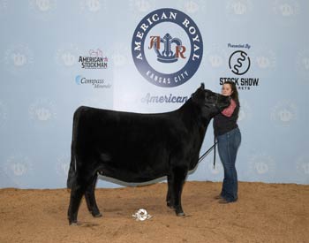 Reserve Senior Champion Female
