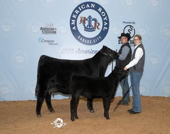 Senior Champion Female