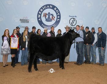 Reserve Grand Champion Female