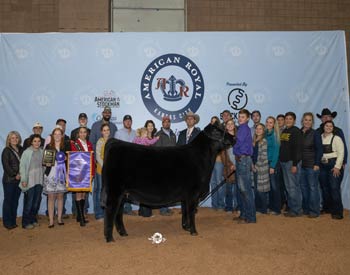 Grand Champion Female