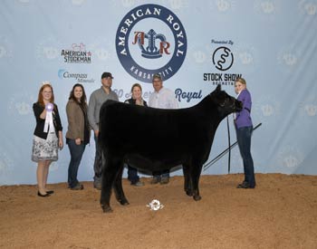 Reserve Intermediate Champion Heifer