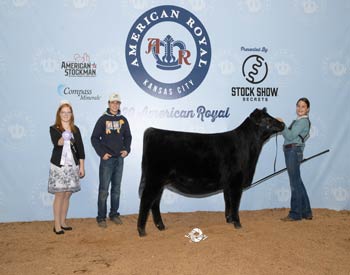 Reserve Late Senior Heifer Calf Champion