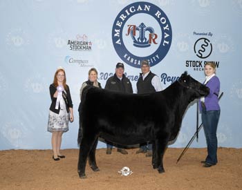 Reserve Early Senior Heifer Calf Champion