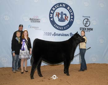 Late Senior Heifer Calf Champion