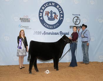Early Junior Heifer Calf Champion