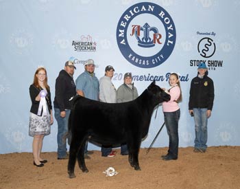 Reserve Late Junior Heifer Calf Champion